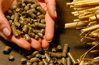 free Stone Edge Batch biomass boiler quotes